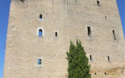 D’où vient le nom Châteauneuf-du-Pape ?