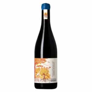 Domaine Mayard Côtes-du-Rhône 2025 Rouge